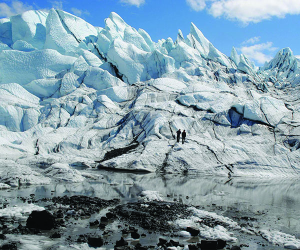 Make guided glacier tours near Palmer a priority during your travels.