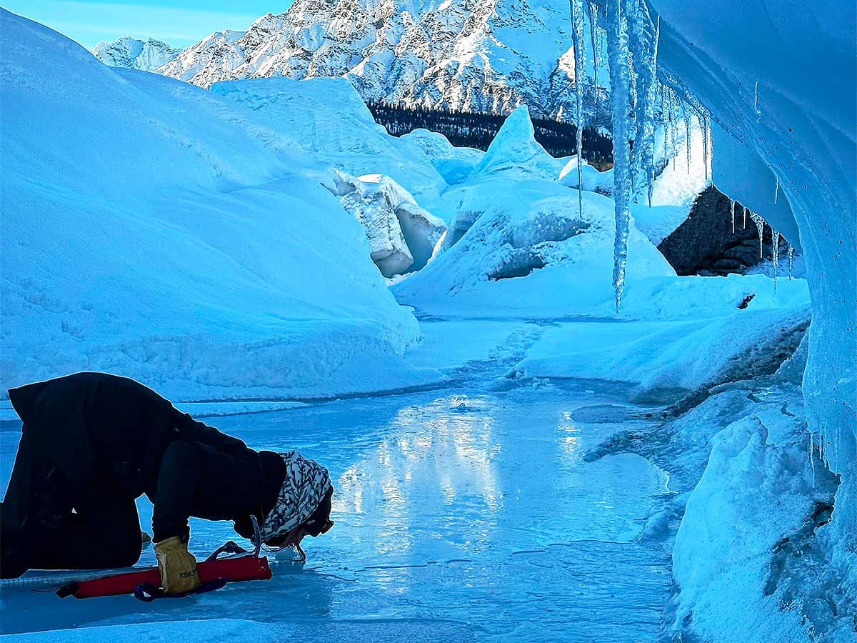 matanuska glacier sipping fresh glacier water from a stream